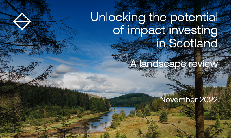 Impact Investing paper