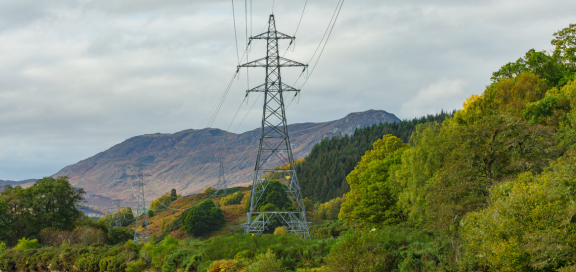 Scotwind 5